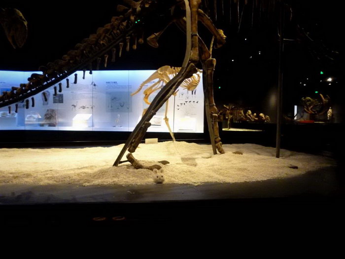 A Little Rabbit in Museum#Photography#Lumix FH5#