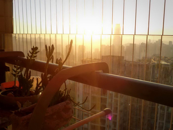 Photo Record#Photography#Lumix FH5#