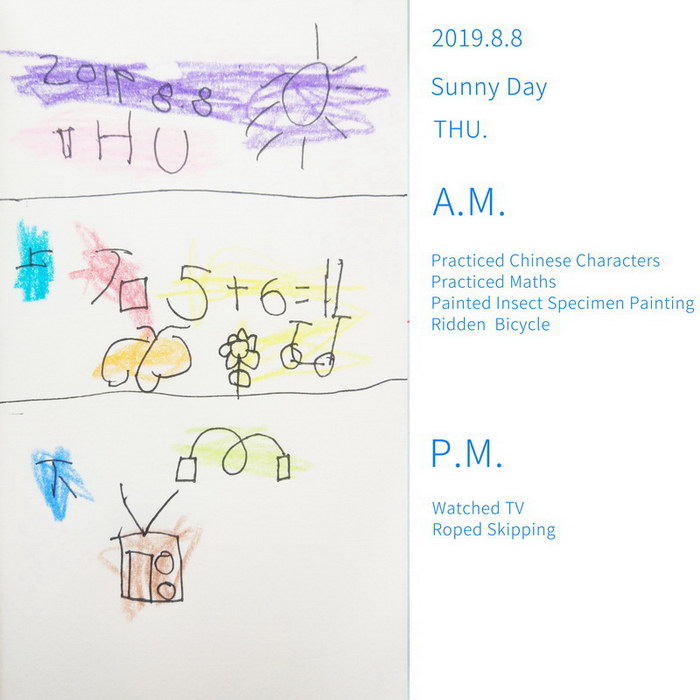 #Diary#Insect Specimen#