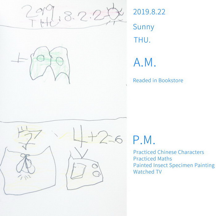 #Diary#Insect Specimen#